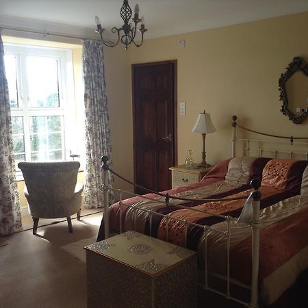 Frondderw Country House Bed & Breakfast Bala Exterior foto