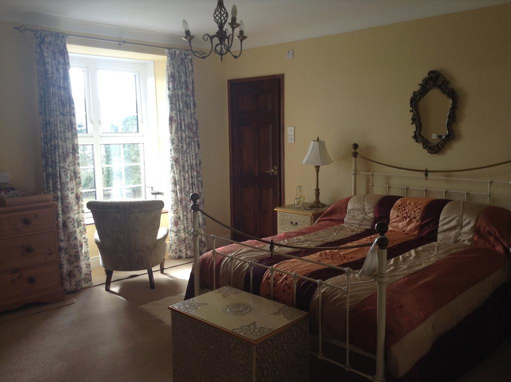 Frondderw Country House Bed & Breakfast Bala Exterior foto
