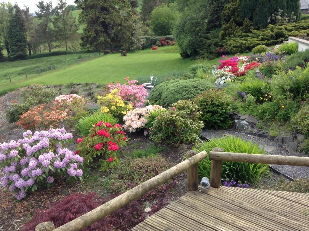 Frondderw Country House Bed & Breakfast Bala Exterior foto